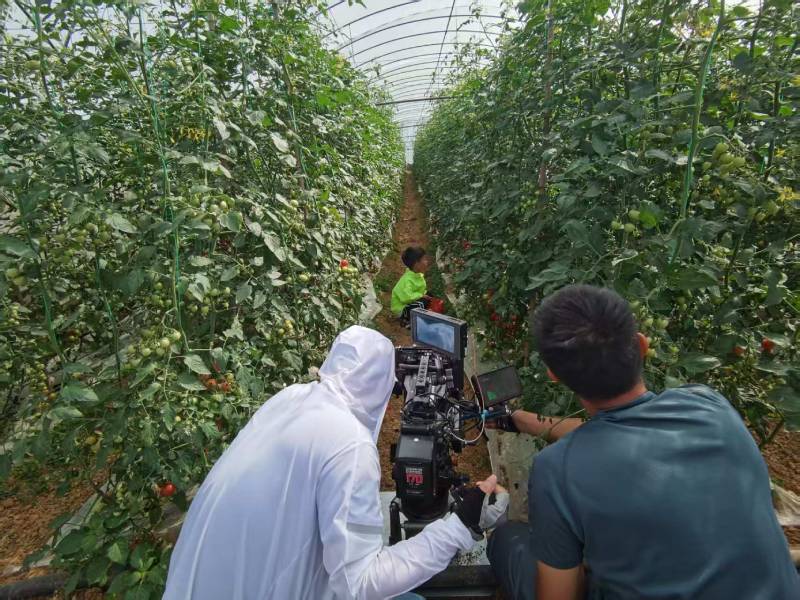 澄城县产品宣传视频拍摄公司进阶指南，助力品牌抢占传播高地